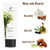 Vanissa Chamomile  Hand cream