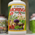 Moringa jugo