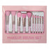 Pink 10 Pc Brush Set