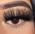 BB&W LASHES “gtg”