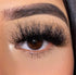 BB&W LASHES “HONEY”