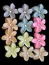 Flower haor clip