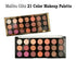 21 COLOR MAKEUP PALETTE